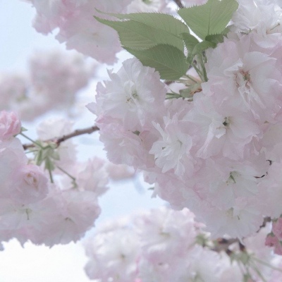 Furry角色比例设计技巧兽圈社群